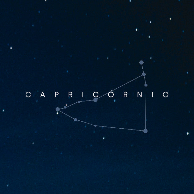 Capricórnio